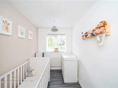 Picture 25
